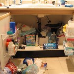 IMG_2648 IMG_2648