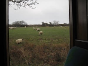 train9
