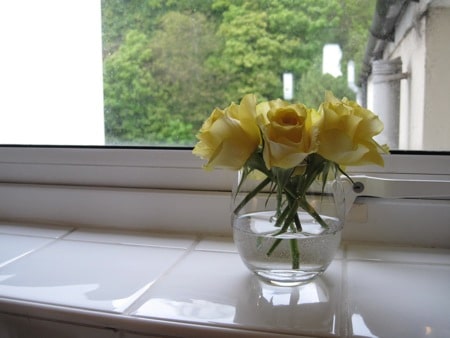 newkitchwindow